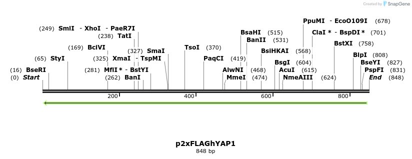 23487_map