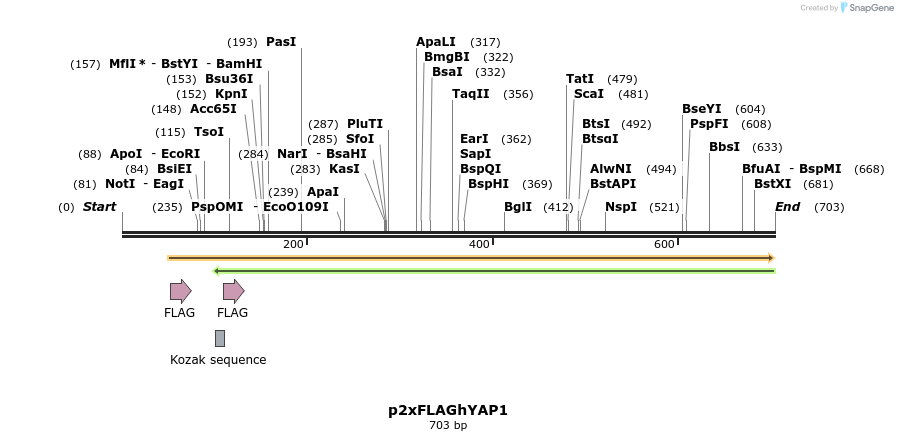23488_map