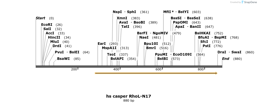 23498_map