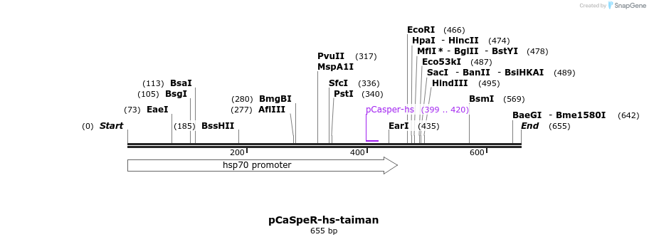 23501_map