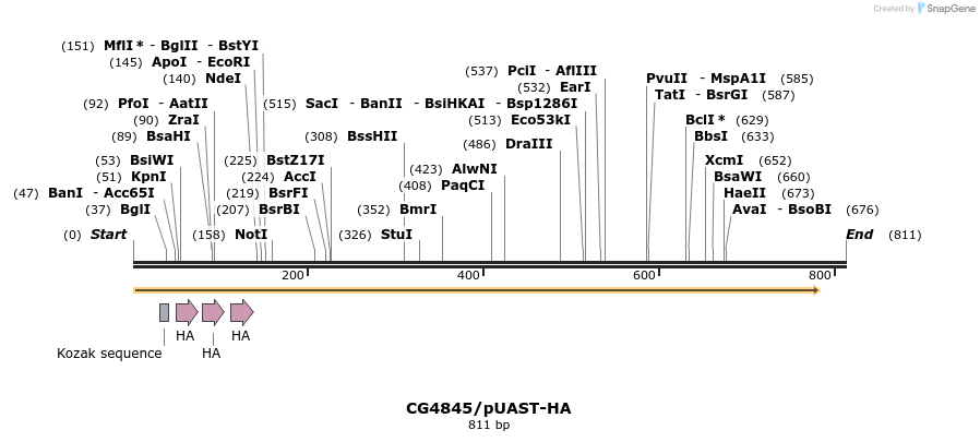 23503_map