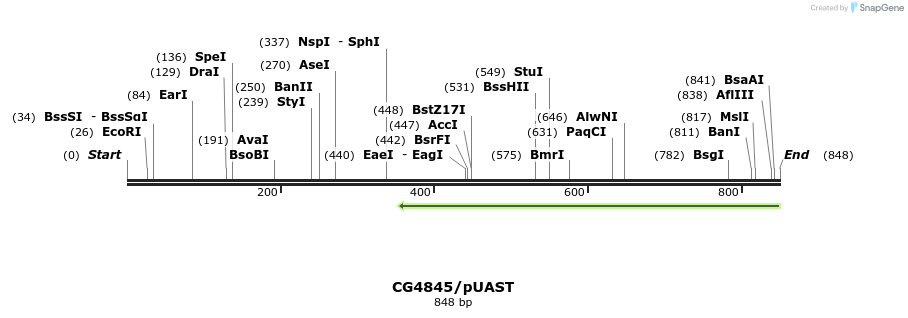 23504_map