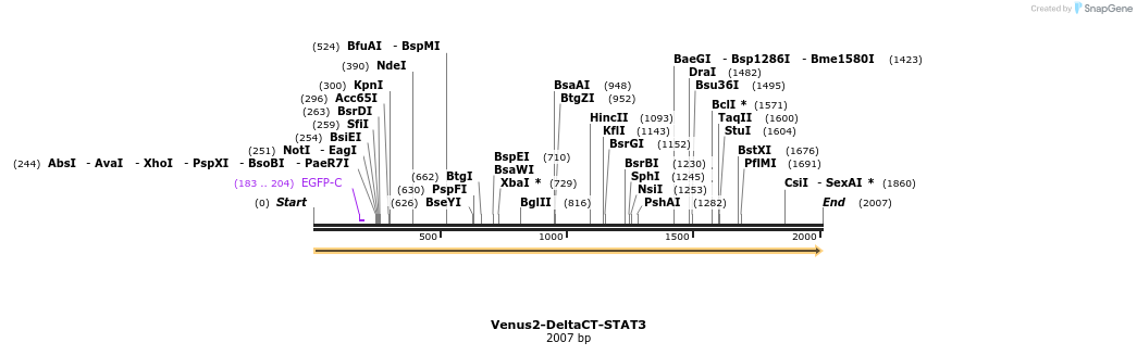 235078_map