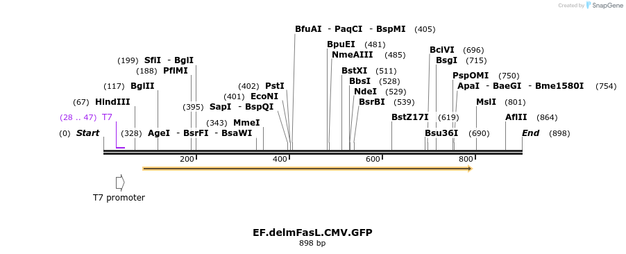 23511_map