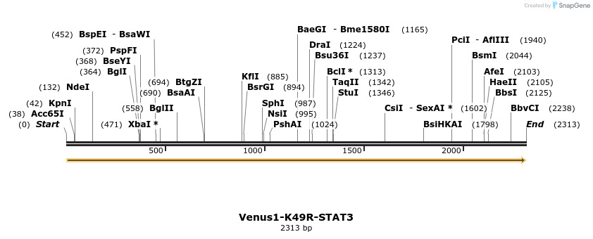 235119_map