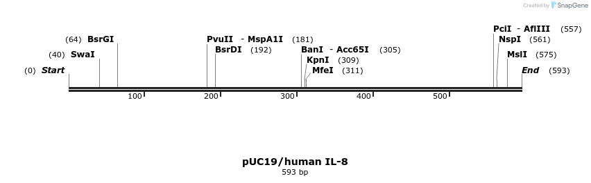 23512_map
