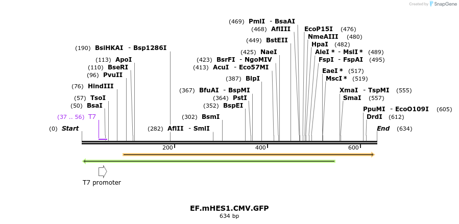 23514_map