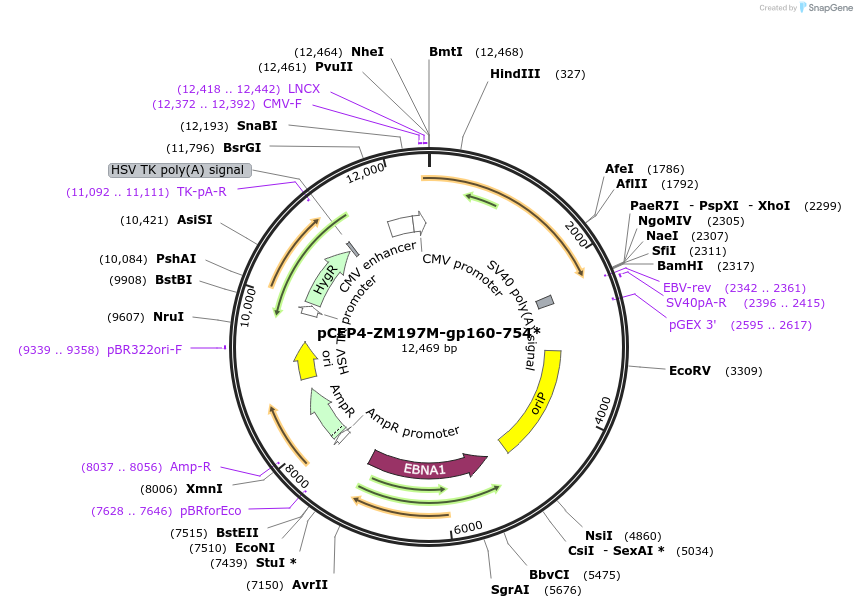 235164_map