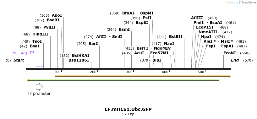23517_map