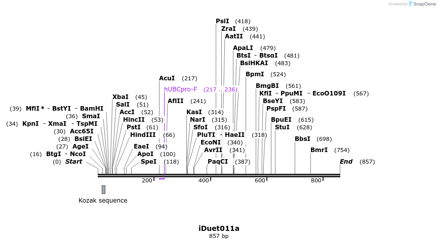 23520_map