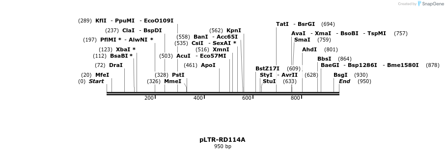 23524_map