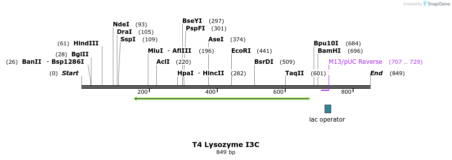 23528_map