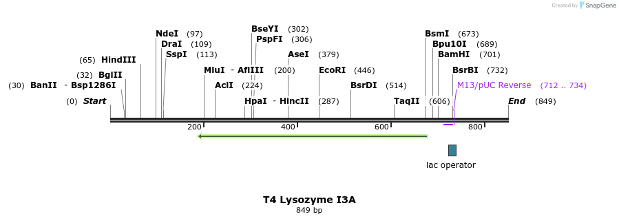 23530_map