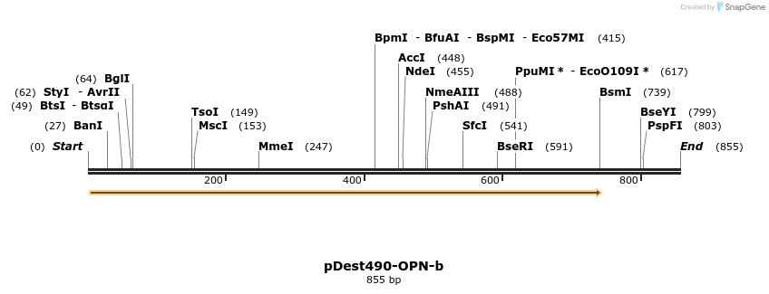 23533_map