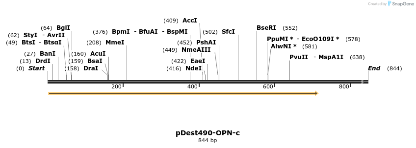 23534_map