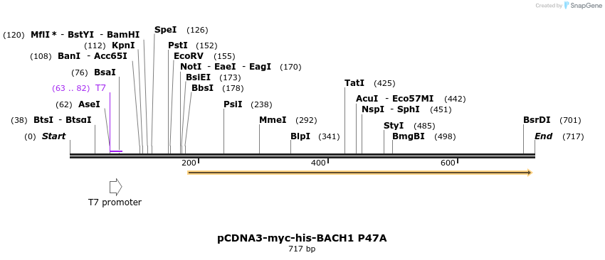 23539_map