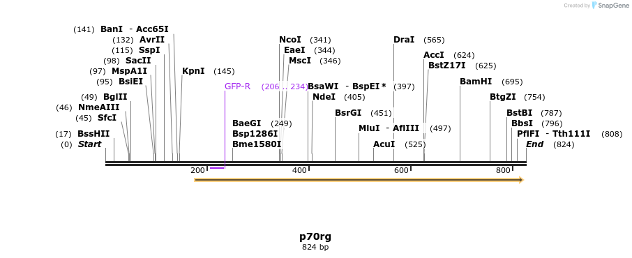 23540_map