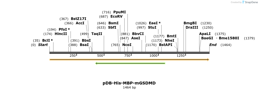 235424_map
