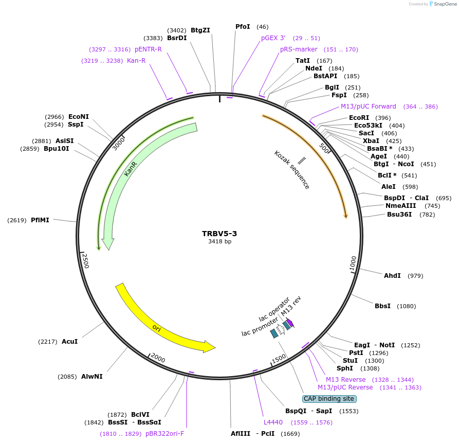 235483_map