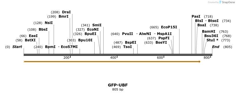 23555_map