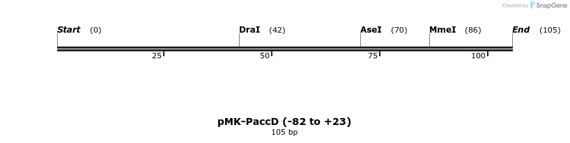 235551_map