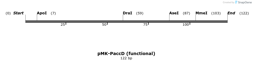 235553_map