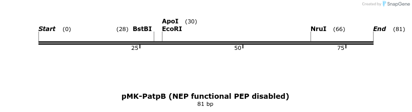 235555_map