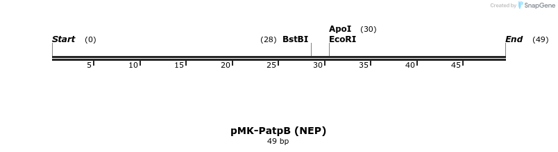 235557_map