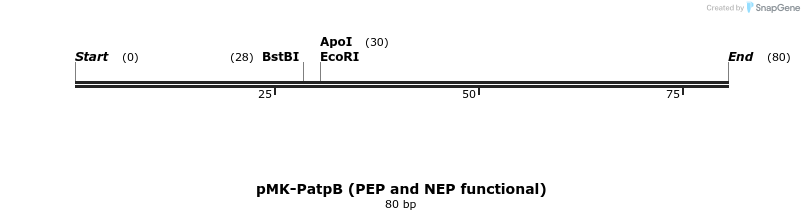 235559_map
