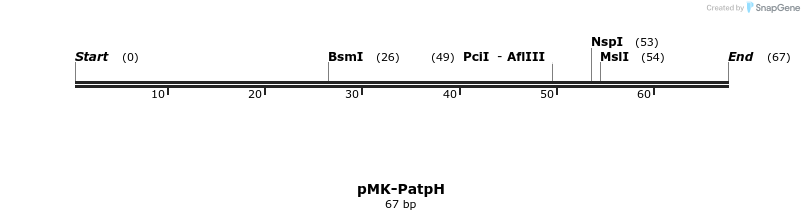 235565_map