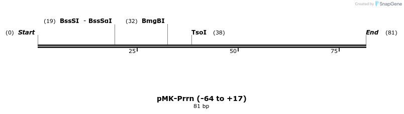 235577_map