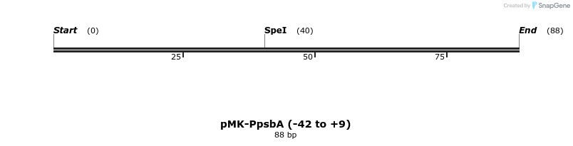 235583_map