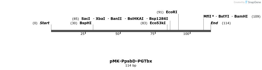 235589_map