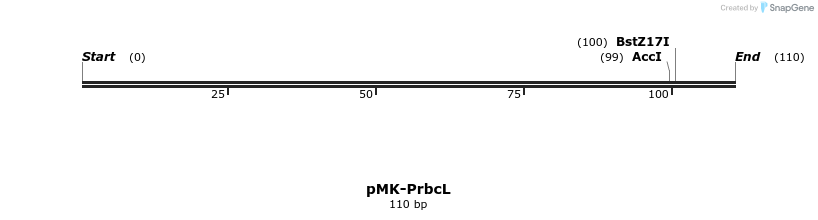 235593_map
