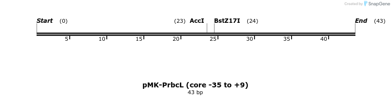 235595_map