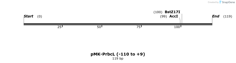 235597_map