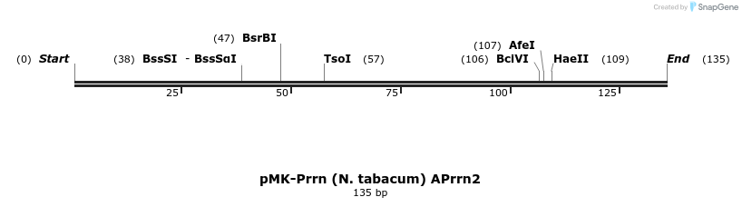 235607_map