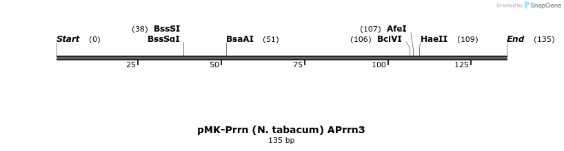 235609_map