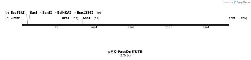 235649_map