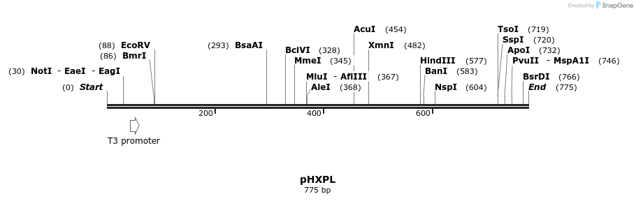 23565_map