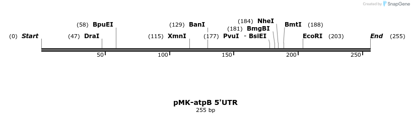 235663_map