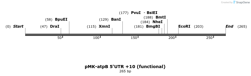 235665_map