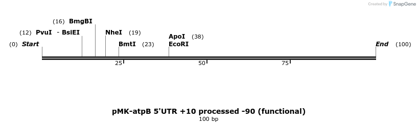 235667_map
