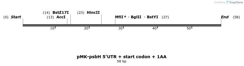 235697_map