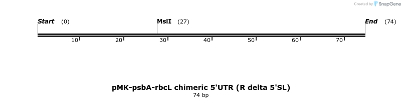 235707_map