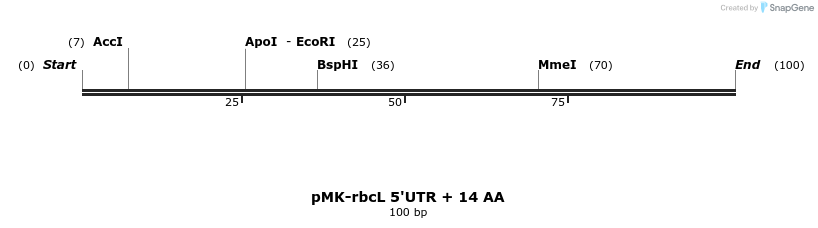 235717_map