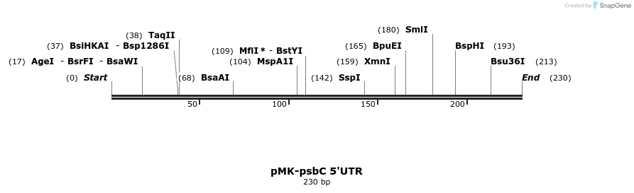 235729_map