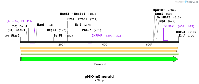 235735_map