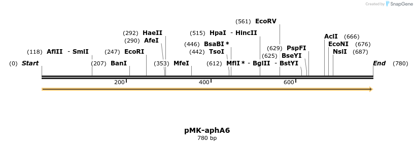 235741_map