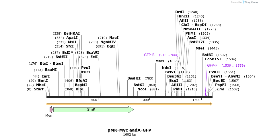 235745_map